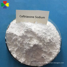 Factory price Ceftriaxone Sodium powder